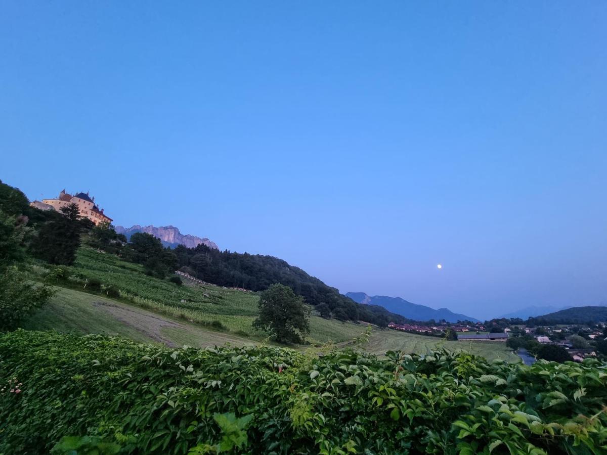 Bed and Breakfast La Vallombreuse Menthon-Saint-Bernard Exterior foto