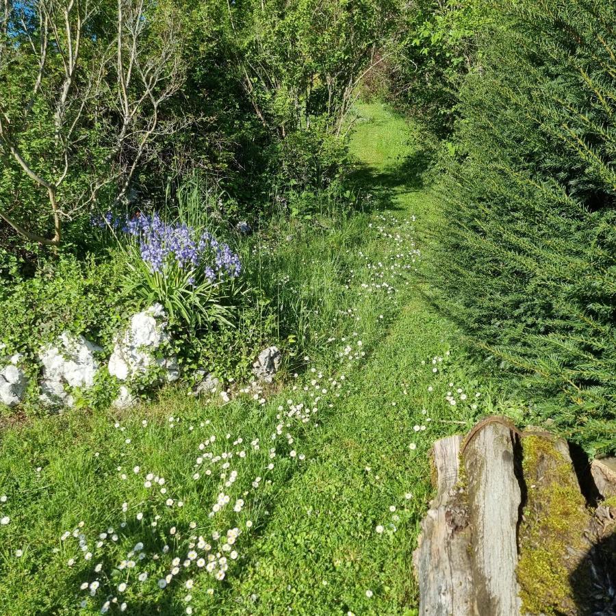 Bed and Breakfast La Vallombreuse Menthon-Saint-Bernard Exterior foto